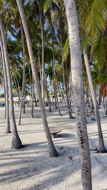 White Sandbar